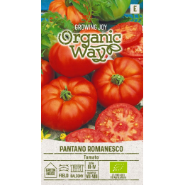 Tomate Pântano Romanesco - Sementes