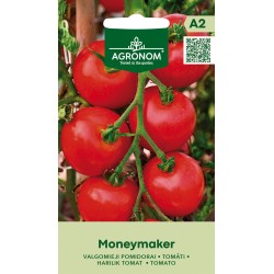 Tomate Moneymaker - Sementes