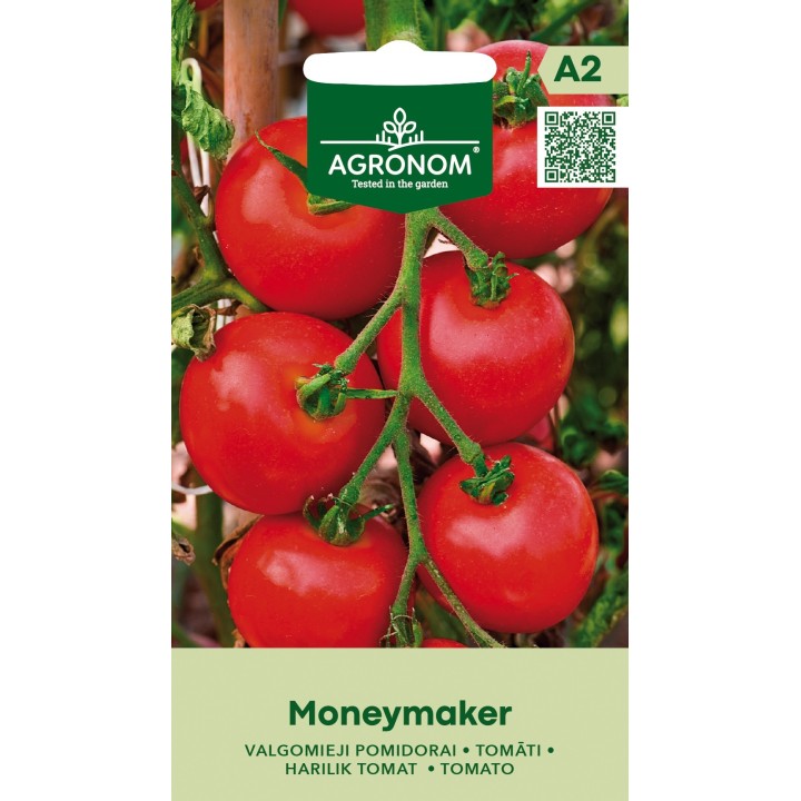 Tomate Moneymaker - Sementes