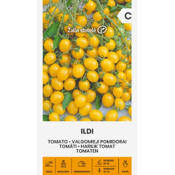 Tomate Ildi - Sementes