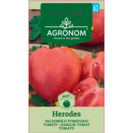 Tomate Herodes - Sementes