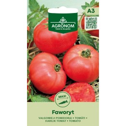 Tomate Faworyt - Sementes