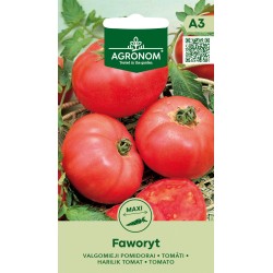Tomate Faworyt - Sementes