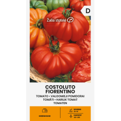 Tomate Costoluto Fiorentino - Sementes