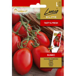 Tomate Blumko - Sementes