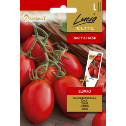 Tomate Blumko - Sementes