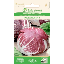 Chicória italiana Palla Rossa 3 - Sementes