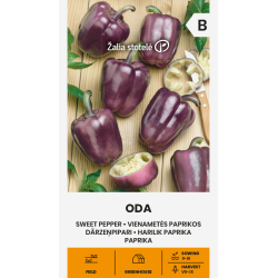 Pimento doce Oda - Sementes