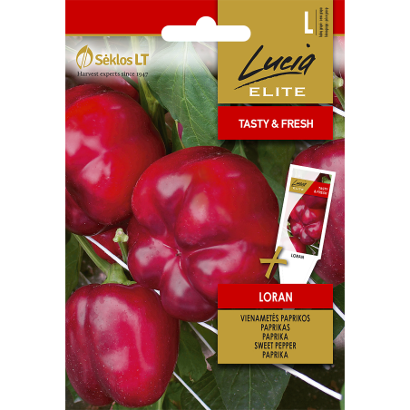 Pimento doce Loran - Sementes