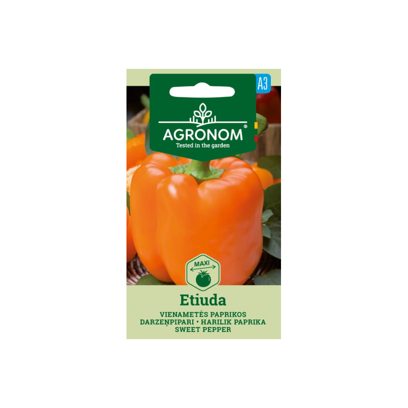 Pimento doce Etiuda - Sementes