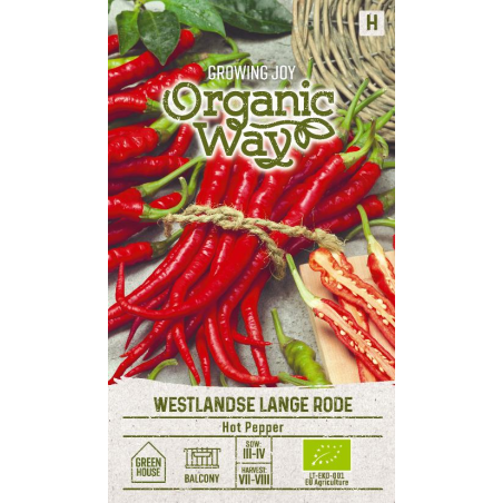 Pimento picante Westlandse Lange Rode - Sementes