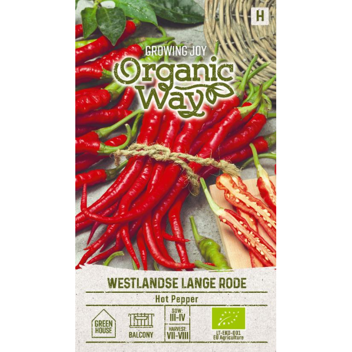Pimento picante Westlandse Lange Rode - Sementes