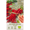 Pimento picante Westlandse Lange Rode - Sementes