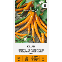 Pimento picante Kilian - Sementes
