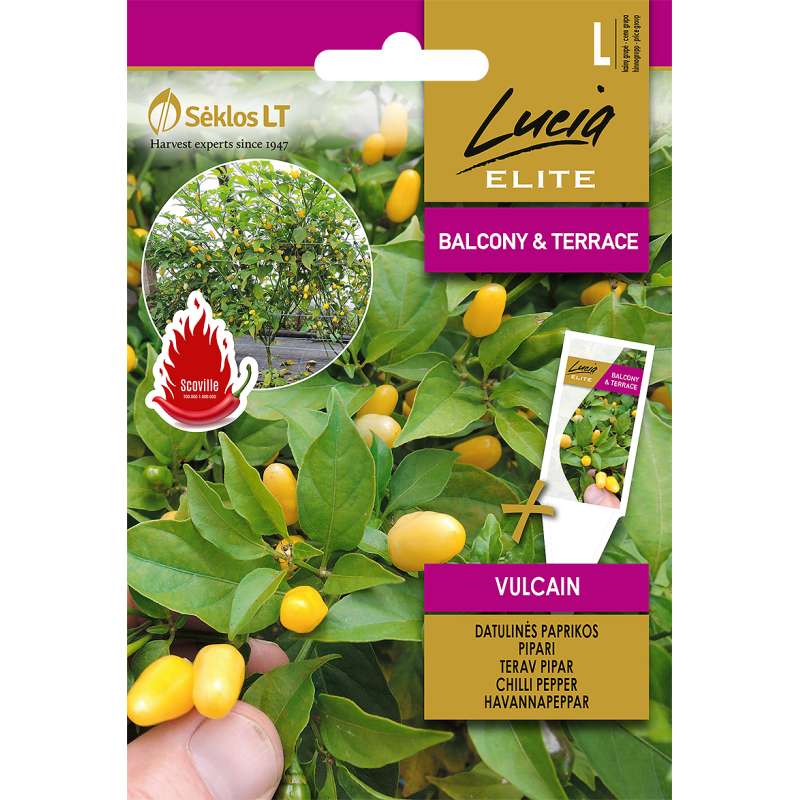 Pimento picante Vulcain - Sementes