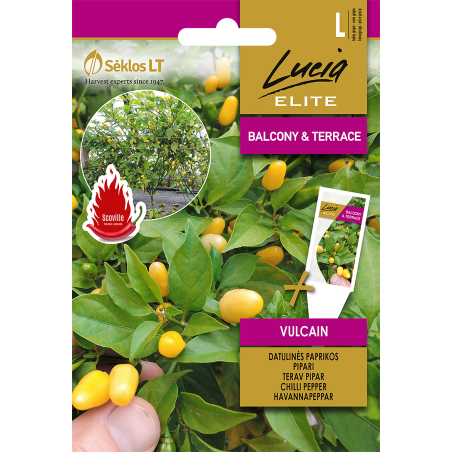 Pimento picante Vulcain - Sementes