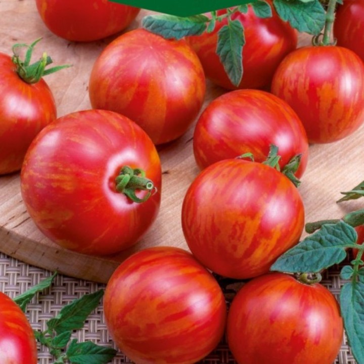 Tomate Duo - Sementes