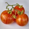 Tomate Tigerella - Sementes