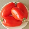Tomate S. Marzano 2 - Sementes