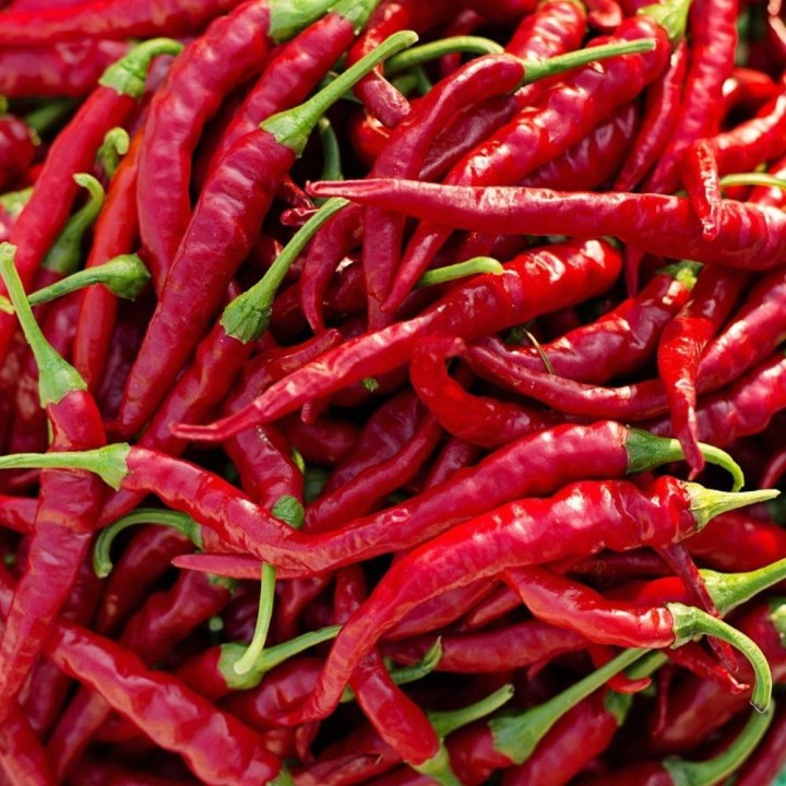 Pimento Caiena - Sementes