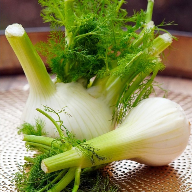 Funcho, Doce de Florença - Sementes