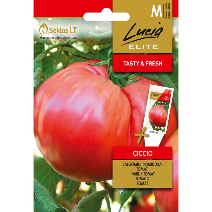 Tomate Ciccio - Sementes