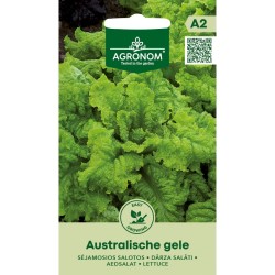 Alface, Australiana Amarela - Sementes