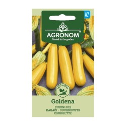 Curgete, Goldena- Sementes