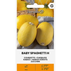Curgete, Baby Spaghetti - Sementes