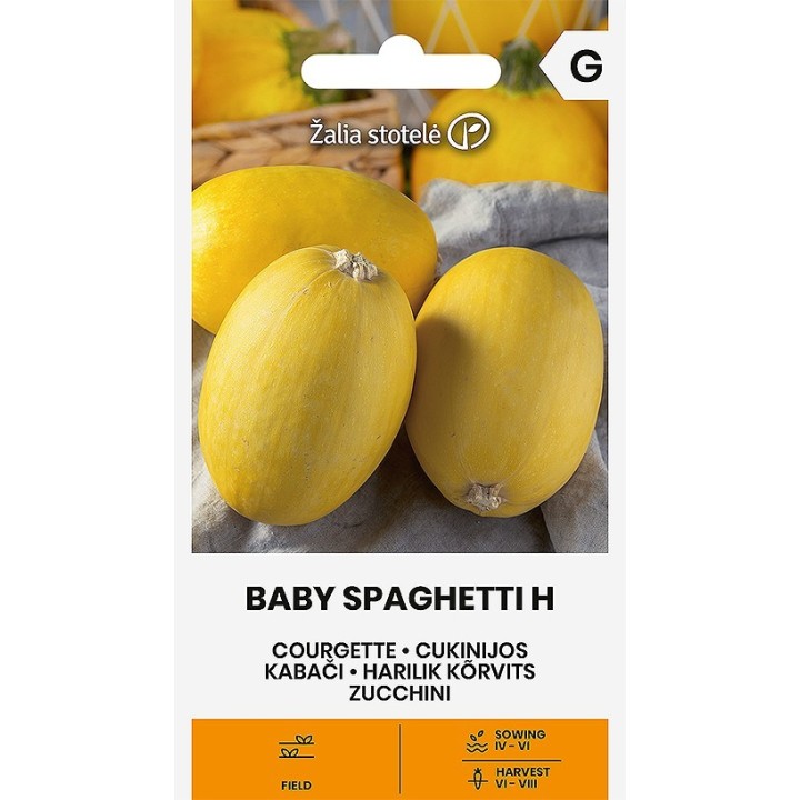 Sementes de Courgette Goldena, uma variedade genovesa de cor amarela