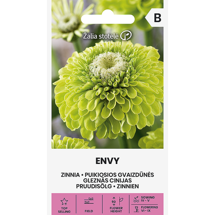 Sementes de Zinnia elegans, Zinia, juventude ou idade