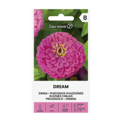 Zínia Dream - Sementes