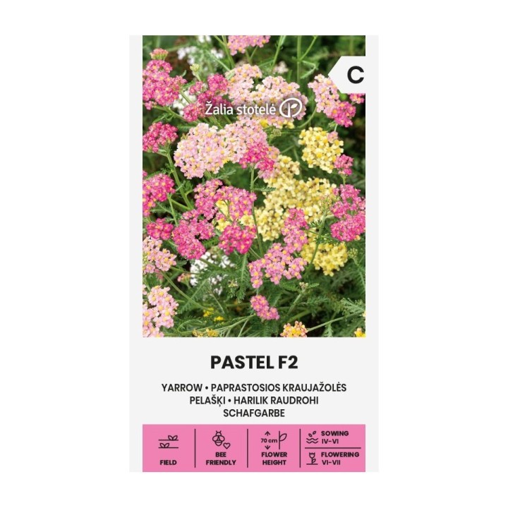Sementes de Mil-folhas Summer Pastels Mix (Achillea millefolium)
