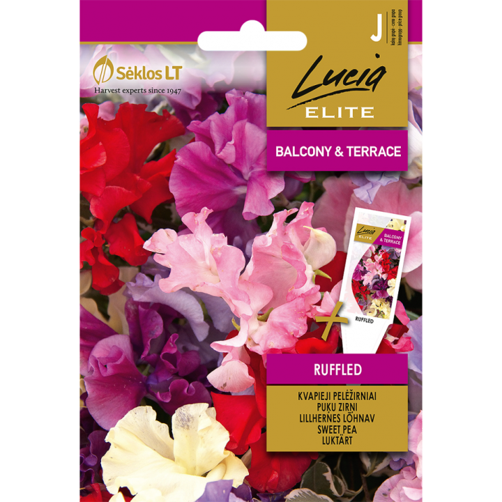 Sementes de Ervilha de cheiro, Knee-Hi Mix (Lathyrus odoratus) | EntreSementes