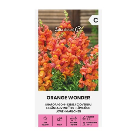 Boca-de-leão, Orange Wonder - Sementes