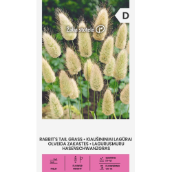 Rabo-de-coelho - Sementes