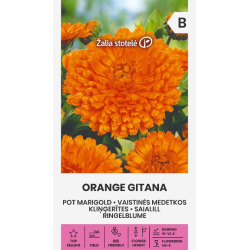 Calêndula laranja cigana - Sementes