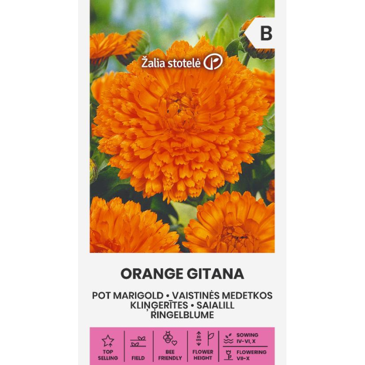 Calêndula laranja cigana - Sementes