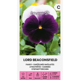 Amor-perfeito Lord Beaconsfield - Sementes