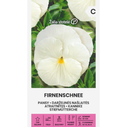 Amor-perfeito Firnenschnee - Sementes