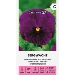 Amor-perfeito Bergwacht - Sementes