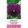 Amor-perfeito Bergwacht - Sementes