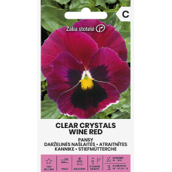 Amor-perfeito Clear Crystals Vinho - Sementes