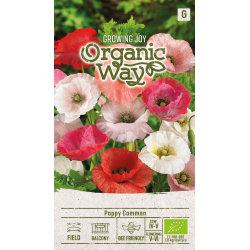 Papoula comum mistura - Sementes