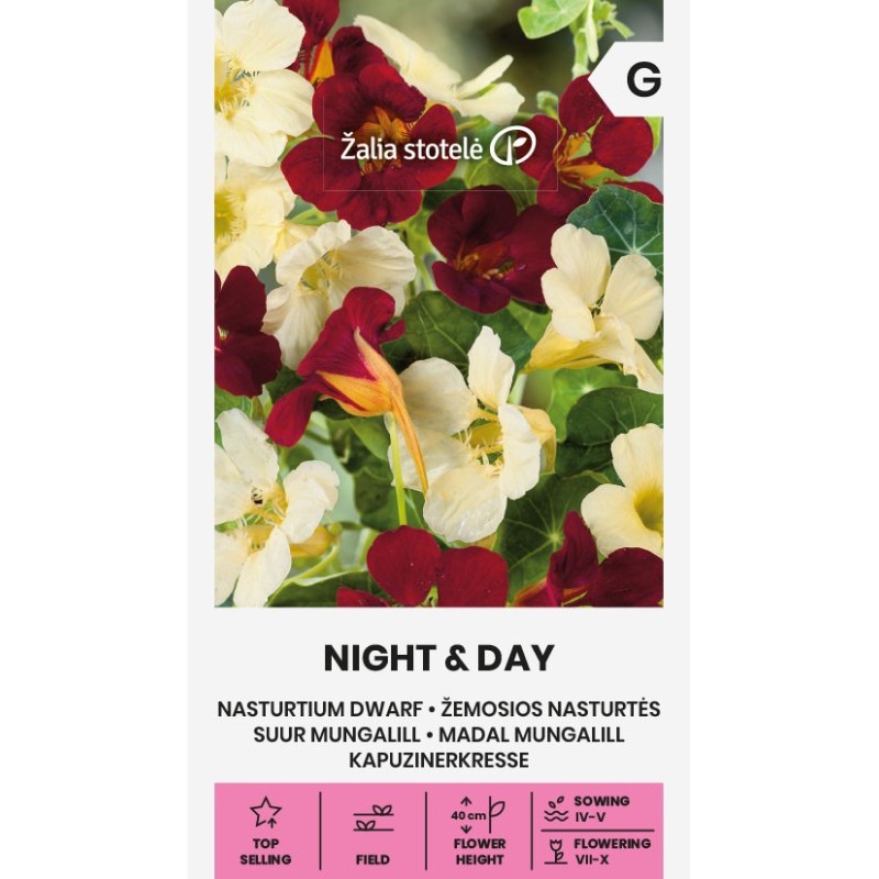 Chagas anã Night & Day - Sementes