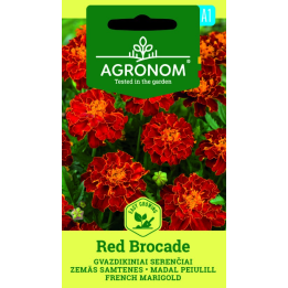 Tagetes, Brocado vermelho - Sementes