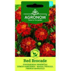 Tagetes, Brocado vermelho - Sementes