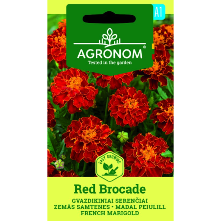 Tagetes, Brocado vermelho - Sementes
