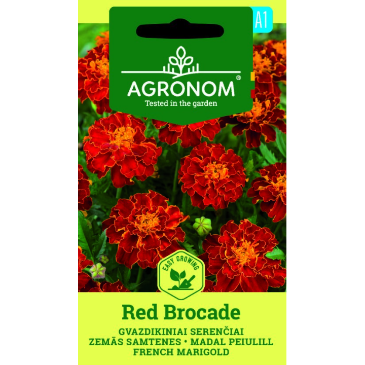 Tagetes, Brocado vermelho - Sementes