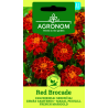 Tagetes, Brocado vermelho - Sementes